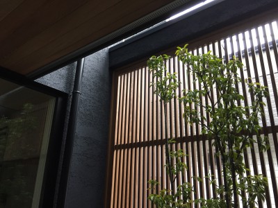 20160408234218.jpg