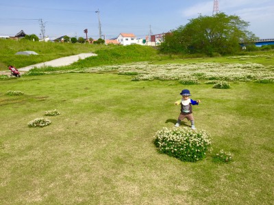 20160516235850.jpg