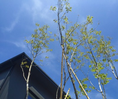 20160517000300.jpg