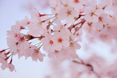 20160405235455.jpg