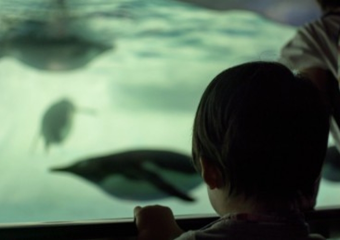 またイチから変更に