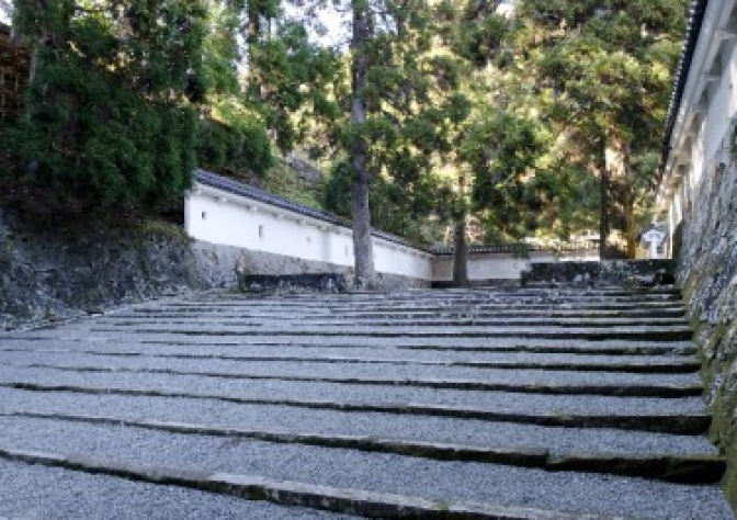 SR社 【歴史編】