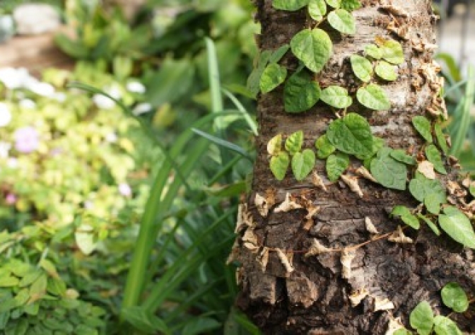 本命 X工務店 【Before】