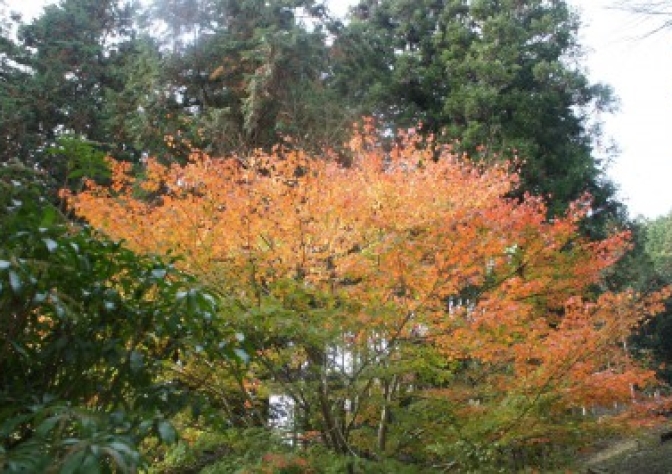 SR社 【営業編】