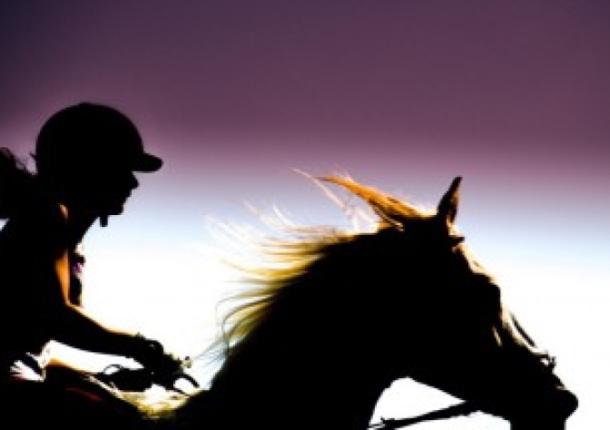 建築会社選びの旅、フィナーレ