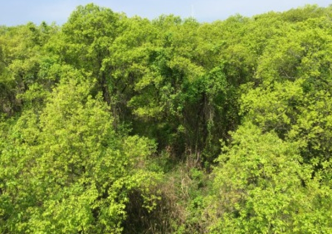 SR社 【展示場編】