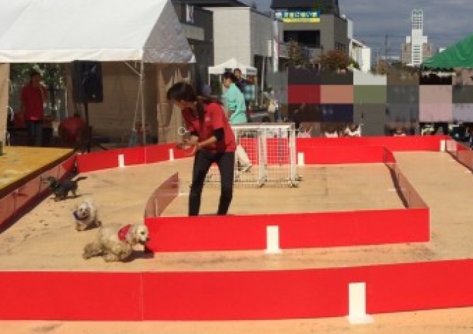 災害時にも使えるんですね