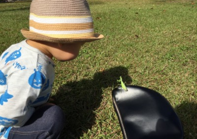 リビングにエコカラット