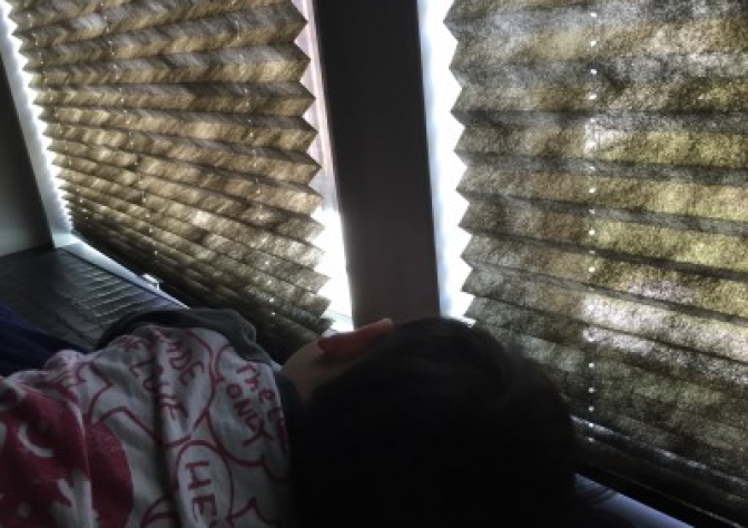 プリーツスクリーン