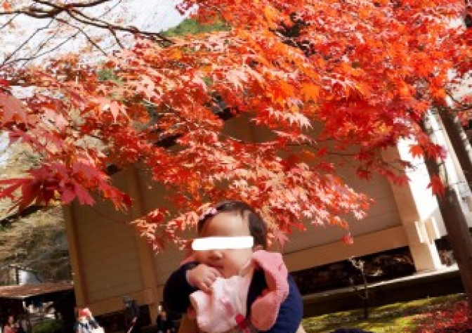 完成見学会から12時間後の感想。②