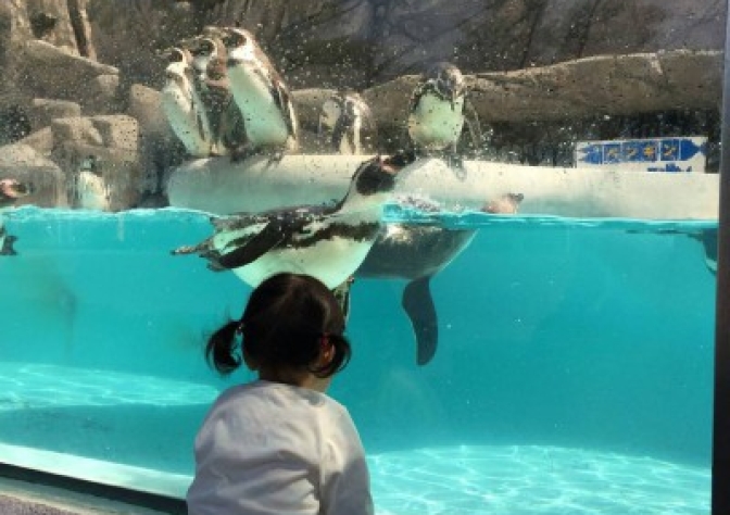 家づくりノート