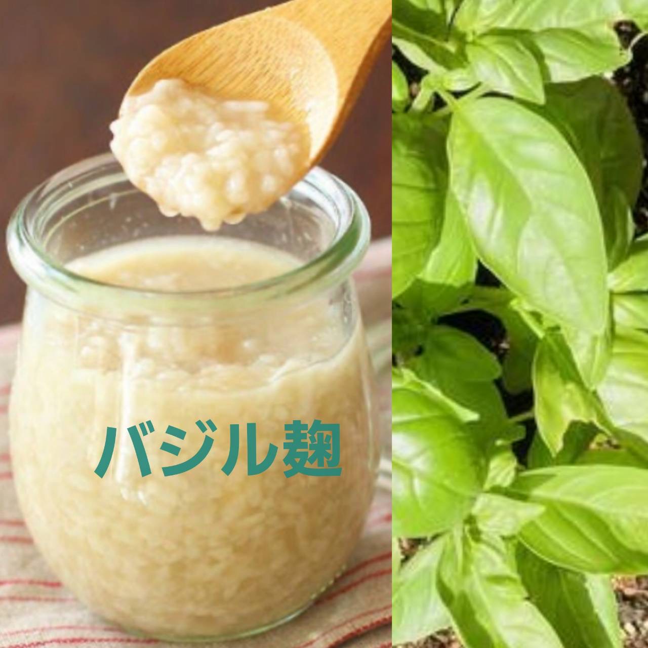 腸活講座～バジル麹作りとプチおかず ～【池田店】