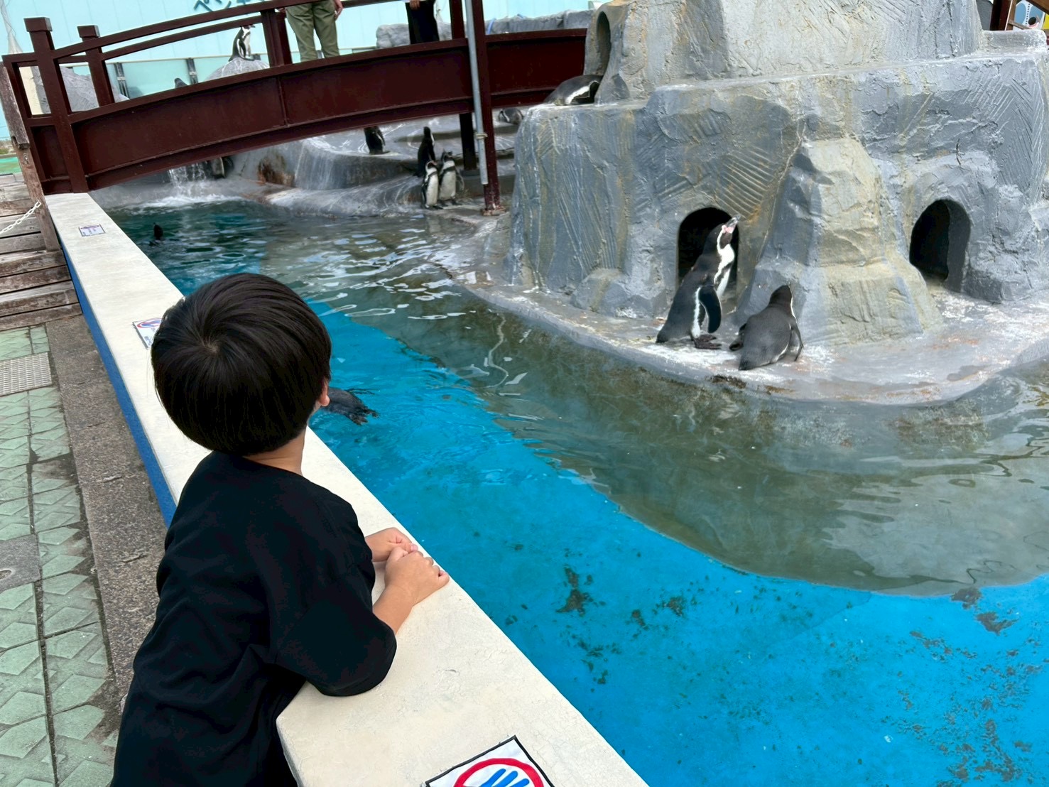 【住宅アドバイザー｜成瀬】完全プライベート秋の想ひ出の話♪in南知多ビーチランド